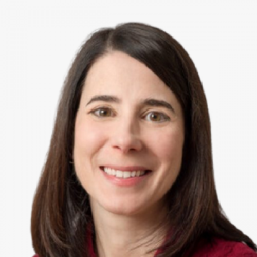 Annemarie Bridy